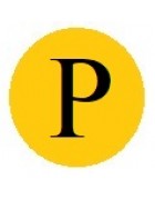 Бусины с русскими буквами золотистые Р